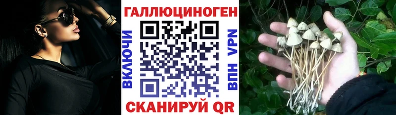 Галлюциногенные грибы Magic Shrooms  дарнет шоп  Зверево 